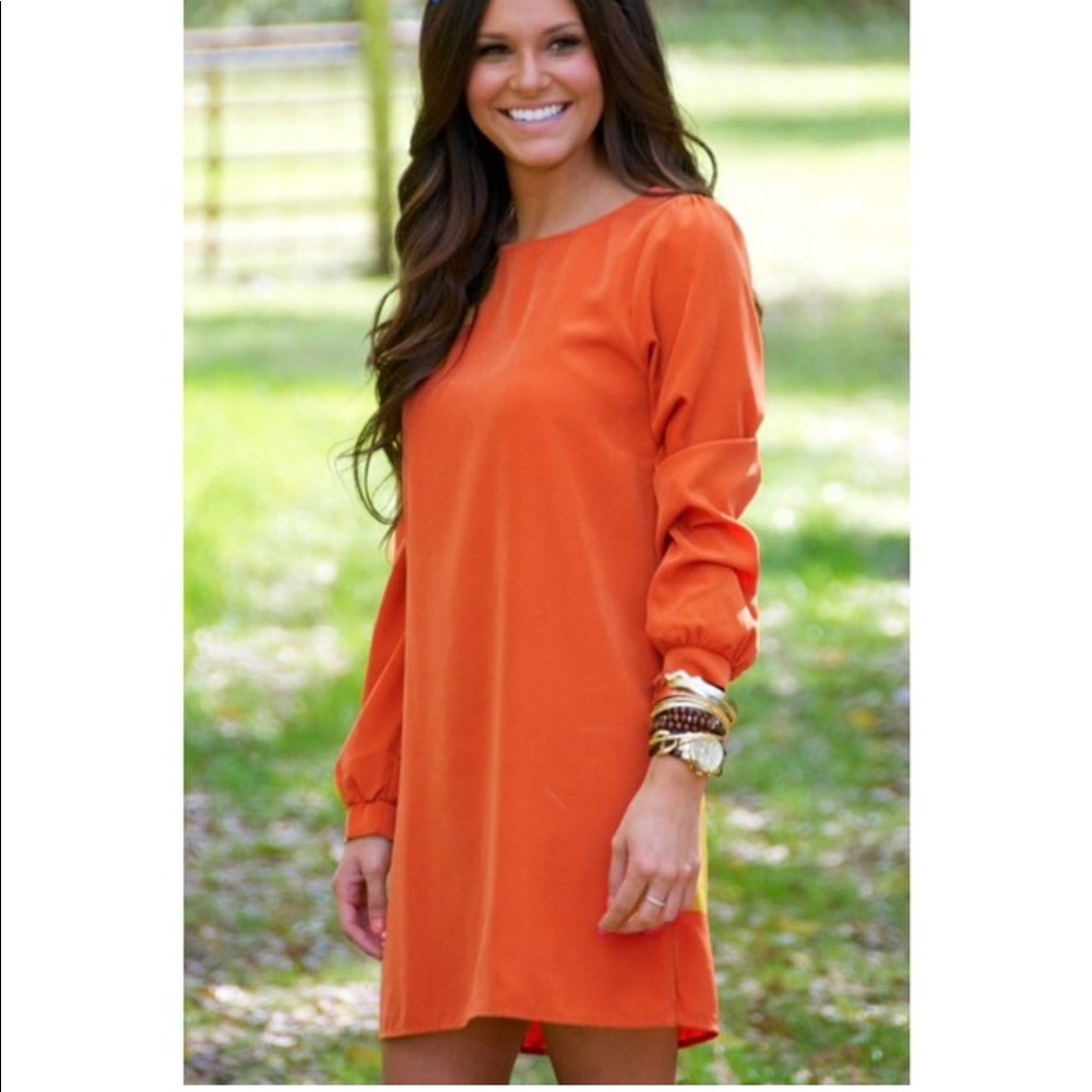 Shift Dress - Picture 3 of 3